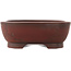 Maceta rectangular sin esmaltar para bonsái de Bigei - 193 x 150 x 50 mm