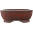 Maceta rectangular sin esmaltar para bonsái de Bigei - 193 x 150 x 50 mm