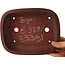 Maceta rectangular sin esmaltar para bonsái de Bigei - 193 x 150 x 50 mm