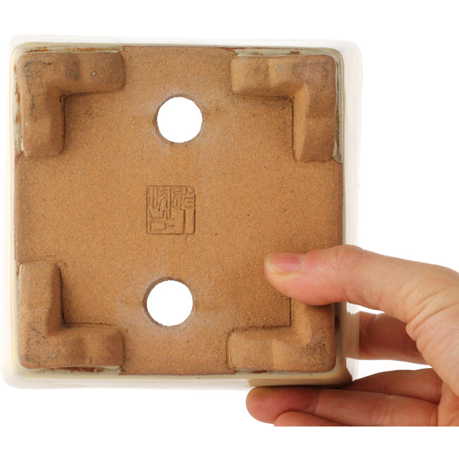 Square off-white bonsai pot by Ikkou - 130 x 127 x 70 mm
