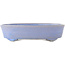 Pot à bonsaï ovale bleu de Fuka - 210 x 165 x 50 mm