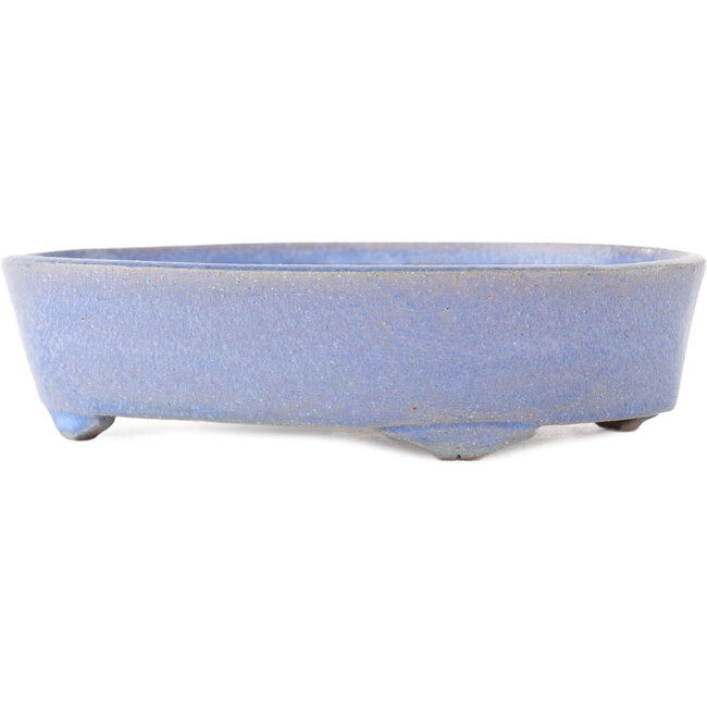 Maceta ovalada para bonsái de color azul de Fuka - 210 x 165 x 50 mm