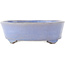 Pot à bonsaï ovale bleu de Fuka - 210 x 165 x 50 mm