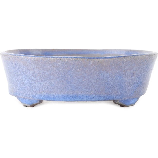 Maceta ovalada para bonsái de color azul de Fuka - 210 x 165 x 50 mm