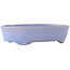 Pot à bonsaï ovale bleu de Fuka - 210 x 165 x 50 mm