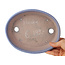 Pot à bonsaï ovale bleu de Fuka - 210 x 165 x 50 mm