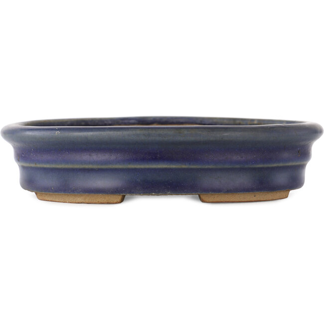 Maceta ovalada para bonsái de color azul - 185 x 145 x 40 mm