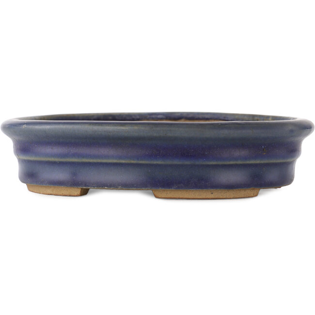 Pot à bonsaï ovale bleu - 185 x 145 x 40 mm