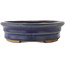 Maceta ovalada para bonsái de color azul - 185 x 145 x 40 mm