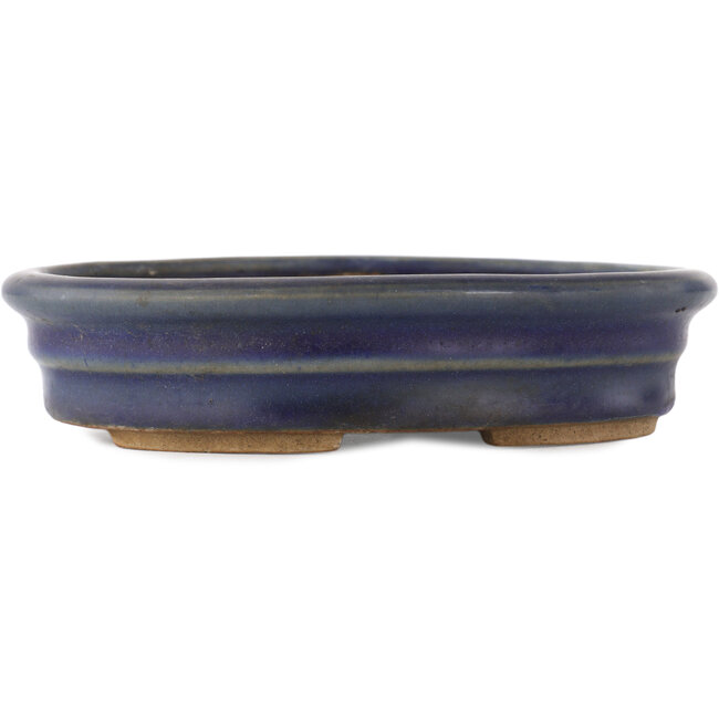 Pot à bonsaï ovale bleu - 185 x 145 x 40 mm