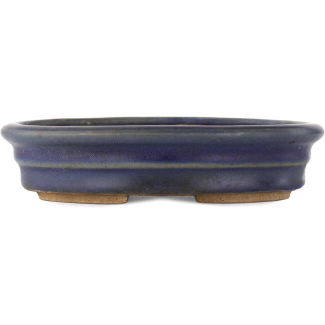 Pot à bonsaï ovale bleu - 185 x 145 x 40 mm