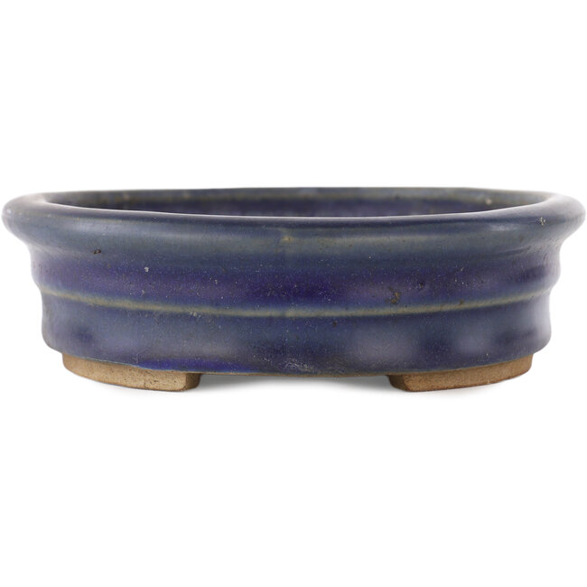 Vaso bonsai ovale blu - 185 x 145 x 40 mm