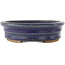 Maceta ovalada para bonsái de color azul - 185 x 145 x 40 mm