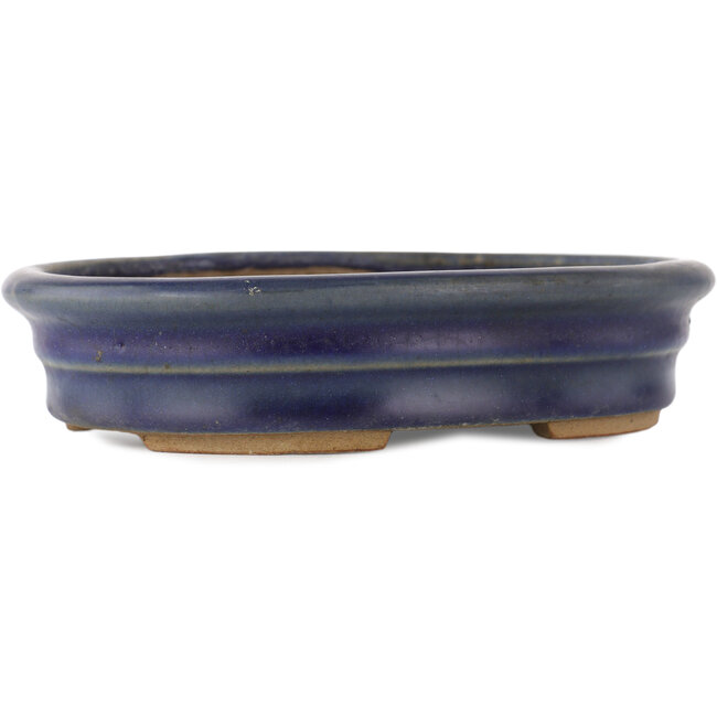 Pot à bonsaï ovale bleu - 185 x 145 x 40 mm