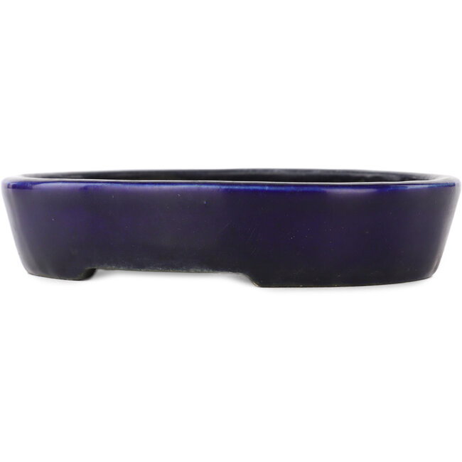 Pot à bonsaï ovale bleu - 155 x 120 x 30 mm