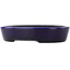 Pot à bonsaï ovale bleu - 155 x 120 x 30 mm