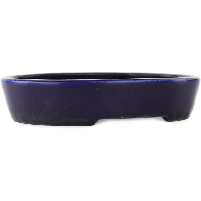 Pot à bonsaï ovale bleu - 155 x 120 x 30 mm