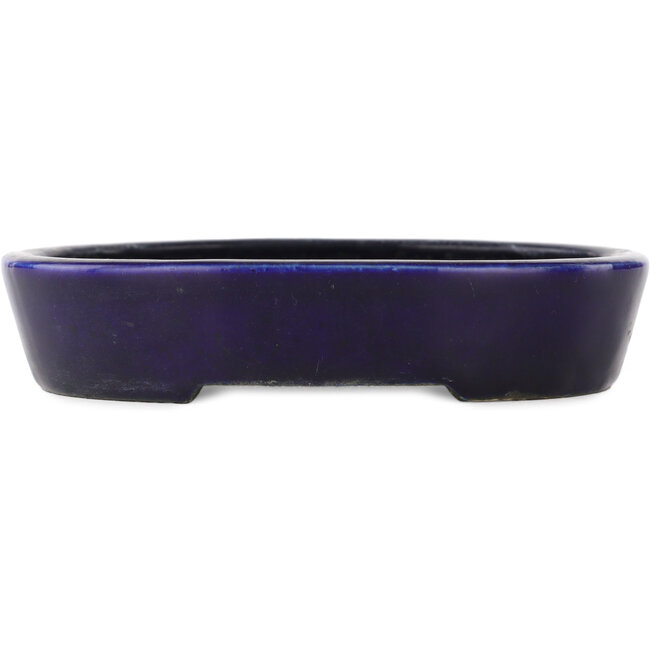 Ovale blauwe bonsai pot - 155 x 120 x 30 mm