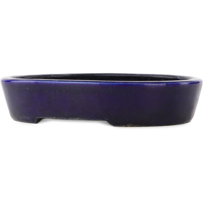 Oval blue bonsai pot - 155 x 120 x 30 mm