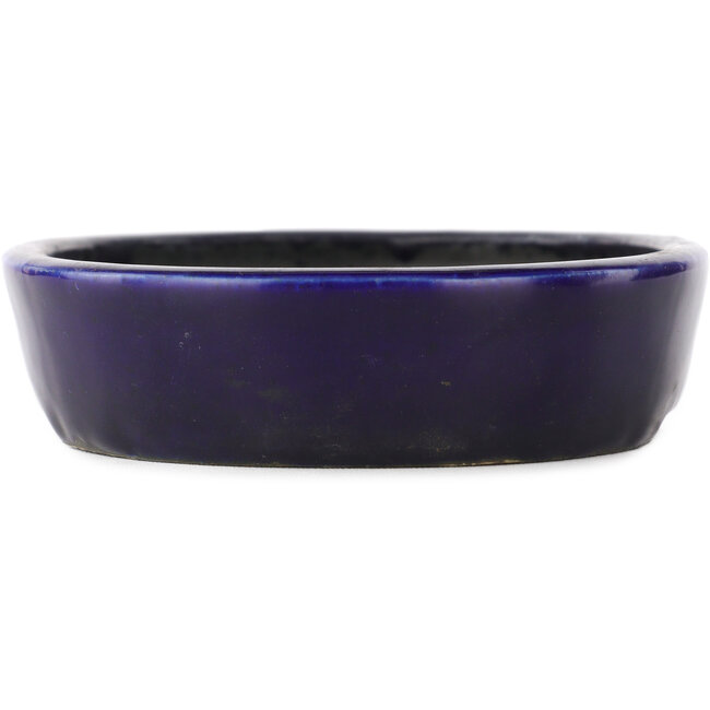 Pot à bonsaï ovale bleu - 155 x 120 x 30 mm