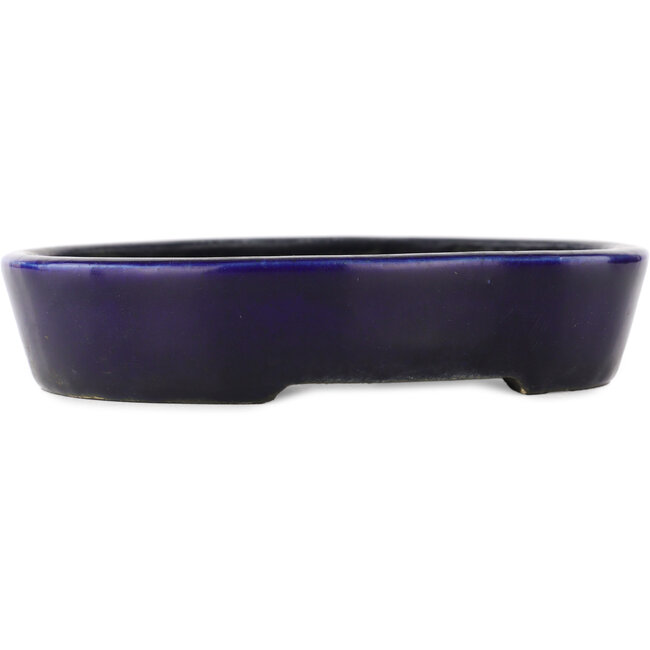 Oval blue bonsai pot - 155 x 120 x 30 mm