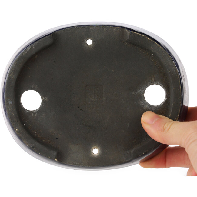 Pot à bonsaï ovale bleu - 155 x 120 x 30 mm