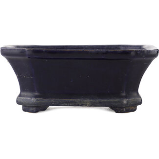  Shuuhou (Hidemi Kataoka) Maceta rectangular azul para bonsái de 140 mm de Shuhou, Tokoname, Japón
