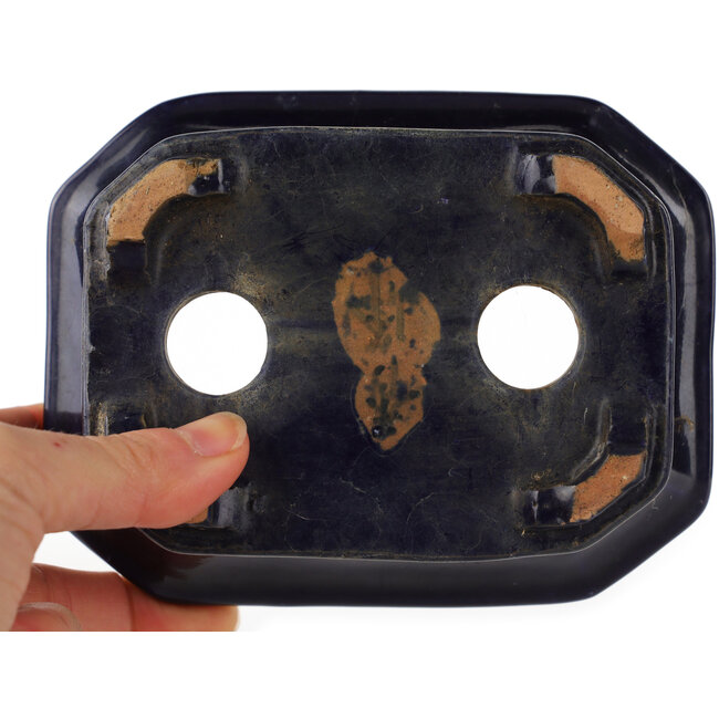 Pot à bonsaï rectangulaire bleu de Shuhou - 140 x 110 x 55 mm