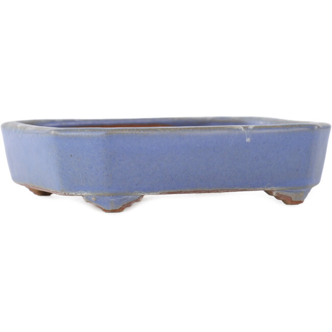 Vaso bonsai rettangolare blu di Yamafusa - 135 x 110 x 35 mm