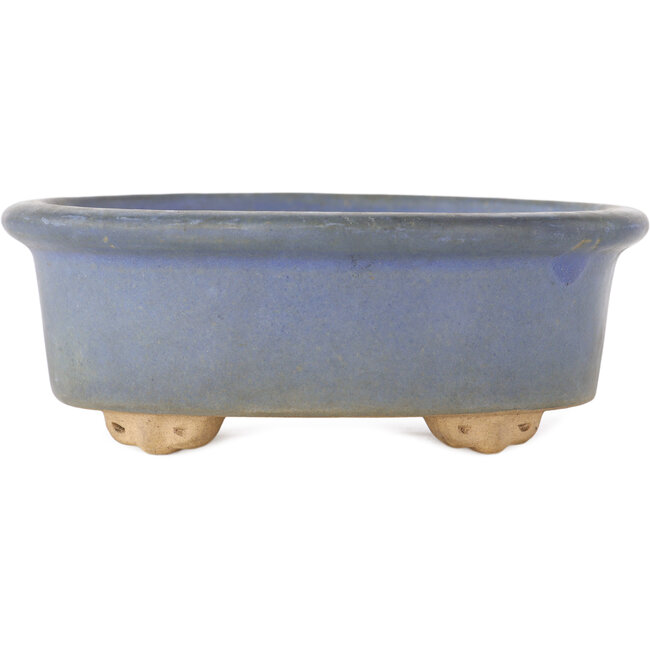 Maceta ovalada para bonsái de color azul - 130 x 110 x 50 mm