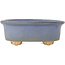 Ovaler blauer Bonsai-Topf - 130 x 110 x 50 mm