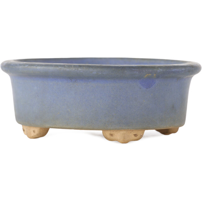 Ovaler blauer Bonsai-Topf - 130 x 110 x 50 mm