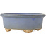 Ovaler blauer Bonsai-Topf - 130 x 110 x 50 mm