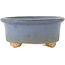 Ovaler blauer Bonsai-Topf - 130 x 110 x 50 mm