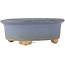 Ovaler blauer Bonsai-Topf - 130 x 110 x 50 mm