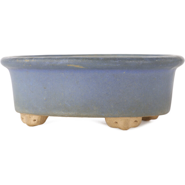 Maceta ovalada para bonsái de color azul - 130 x 110 x 50 mm
