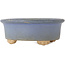 Ovaler blauer Bonsai-Topf - 130 x 110 x 50 mm