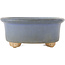 Ovaler blauer Bonsai-Topf - 130 x 110 x 50 mm