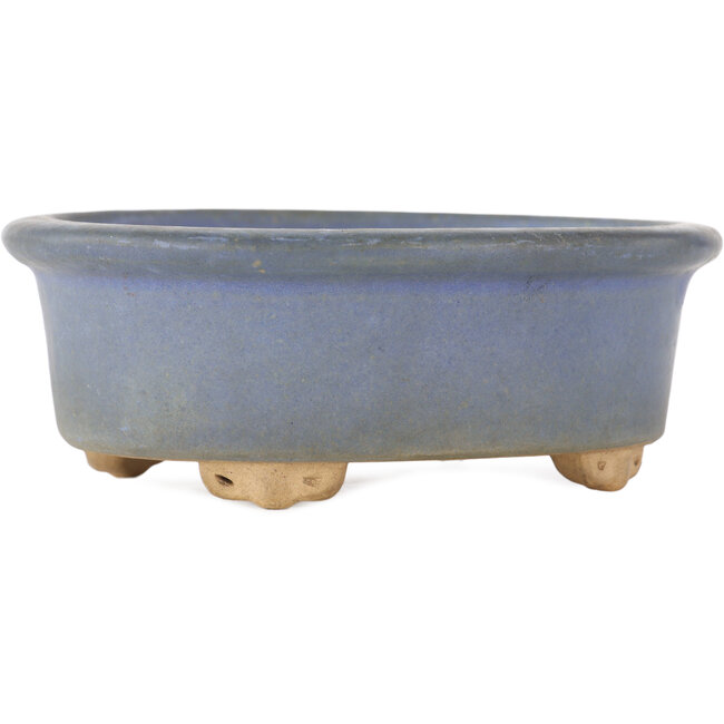 Ovaler blauer Bonsai-Topf - 130 x 110 x 50 mm