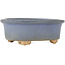 Ovaler blauer Bonsai-Topf - 130 x 110 x 50 mm
