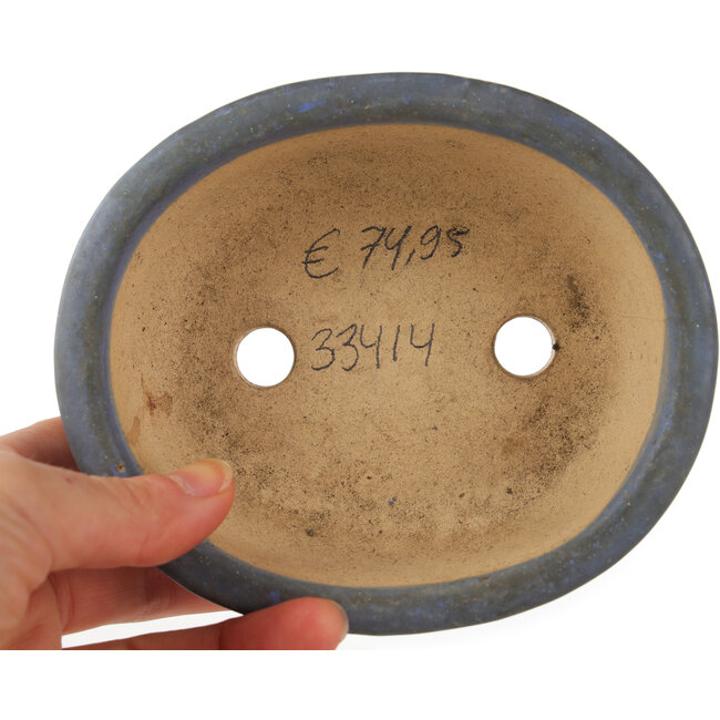 Maceta ovalada para bonsái de color azul - 130 x 110 x 50 mm