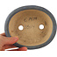 Ovale blauwe bonsai pot - 130 x 110 x 50 mm