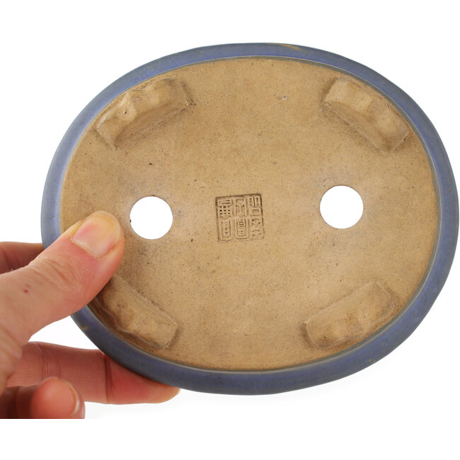 Ovale blauwe bonsai pot - 130 x 110 x 50 mm