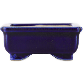  Other Japanese bonsai pot makers Maceta rectangular azul de 75 mm de Japón