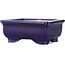 Maceta rectangular azul para bonsái - 75 x 55 x 32 mm