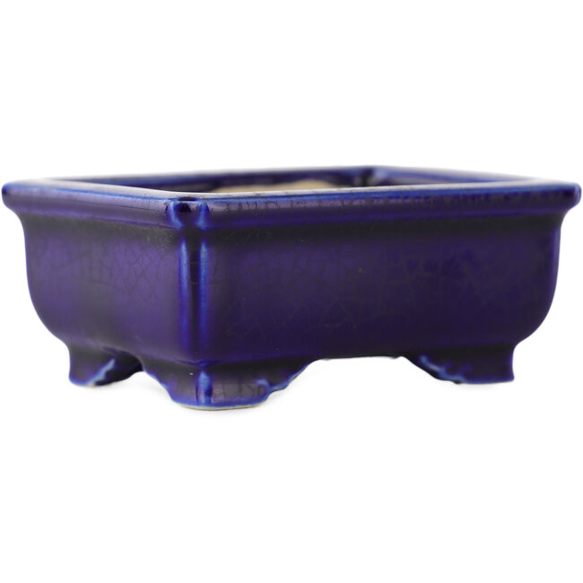 Rechteckiger blauer Bonsaitopf - 75 x 55 x 32 mm
