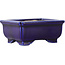 Rectangular blue bonsai pot - 75 x 55 x 32 mm