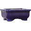 Maceta rectangular azul para bonsái - 75 x 55 x 32 mm