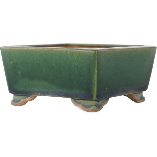 Maceta cuadrada verde para bonsái de Ikkou - 145 x 145 x 70 mm