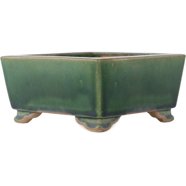 Maceta cuadrada verde para bonsái de Ikkou - 145 x 145 x 70 mm